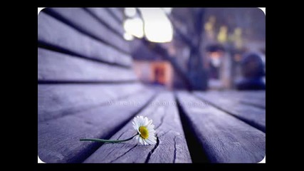 One Night Only - can you feel it tonight