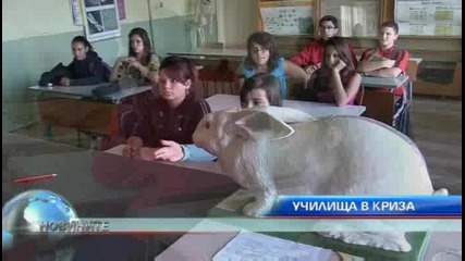 Училища в криза 