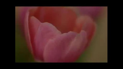 Нели Рангелова Необясними неща(мой стих) 