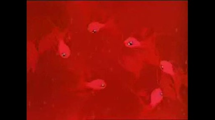 Fantasia Disney Art Sweet Child
