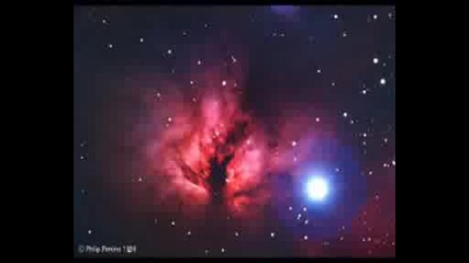 Sherif Gulum.flv