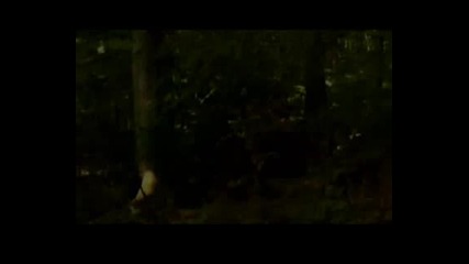 Robin Hood - Hes A Pirate 2