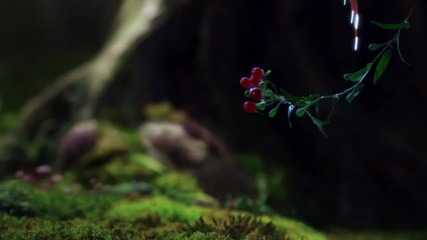 Samsung Led Tv Series Commercial 1080p