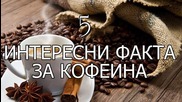 5 интересни факта за кофеина