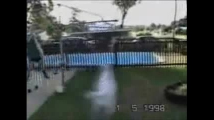 Very Funny Dogs 6
