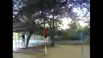 Badgi