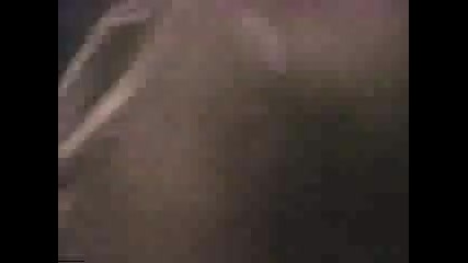 Skid Row I Remember You Live Toronto 
