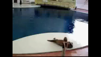 Тюлен танцува на Майкъл Джексън