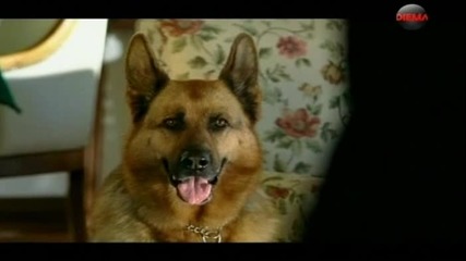 Kommissar Rex s13 ep05