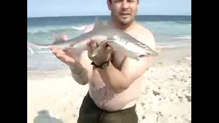 Мъж хваща акула с голи ръце