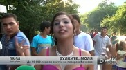 До 50 000 лева за сватба на пазара в Бачково