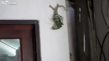 Гущер спасява свой приятел от Змия