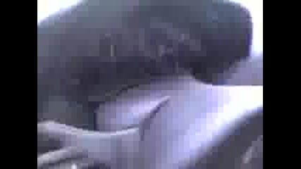 Lamborghini show