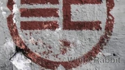 Egypt Central - White Rabbit (бял Заек)