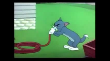 Tom and Jerry 5 (bg Parody)