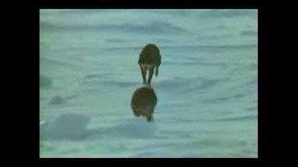 Vangelis - Come To My