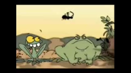 Funny Frogs