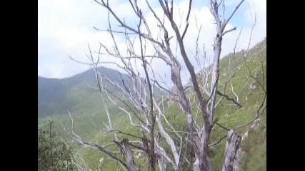 Пътеката към Козя стена 