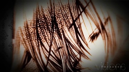 Pureblood Lover (vampire Knight amv)