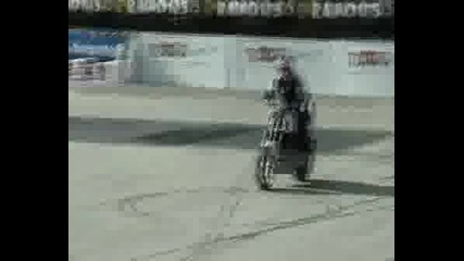 Много Зарибен С Bmw