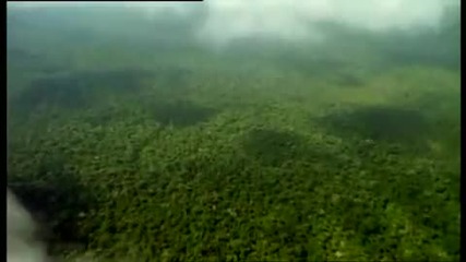 Hymn to the Rainforest ~ Sarah Brightman. Nella Fantasia 