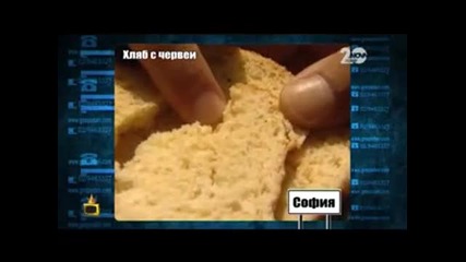 Господари на ефира | 12.09.2014