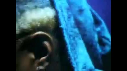 P.m. Dawn - Die Without You