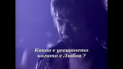 Van Halen - When its love (превод) 