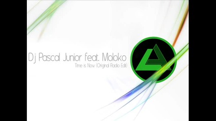 Dj Pascal Junior feat. Moloko - Time is Now ( Original radio Edit )