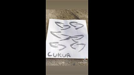 Vid_142470407_041603_446.mp4