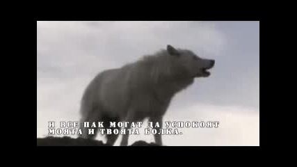 Magiiata na Vylka.avi