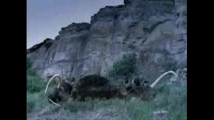 Walking with Beasts - Ep 6 - Mammoth Journey - Part 3 of 3