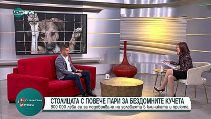 800 000 лв. за подобряване на условията в клиниката и приюта за бездомни кучета в София