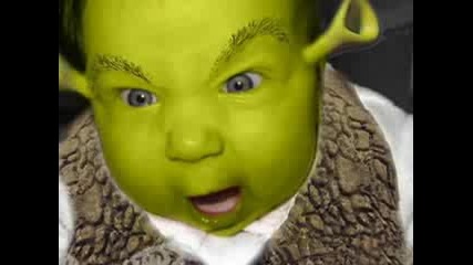 Baby Shrek