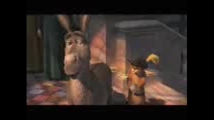 Shrek 300