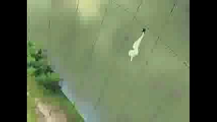 Sasuke Amv