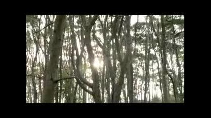 Мечът на истината / Legend of the seeker - сезон 1, еп.18, част 2