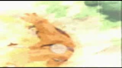 Naruto Vs Neji