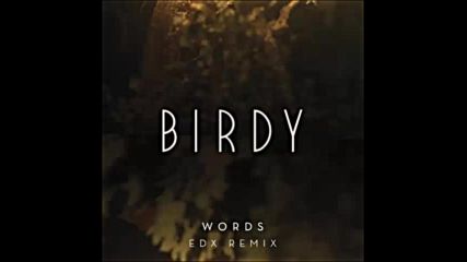 *2016* Birdy - Words ( Edx remix )