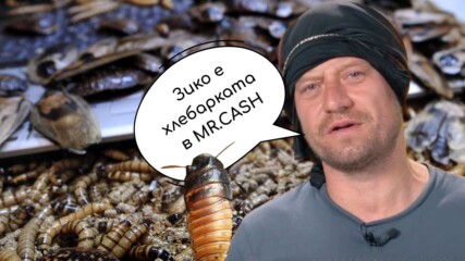 Пацо: Зико е хлебарката в MR.CASH💥😲