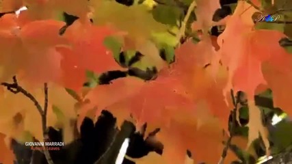 Giovanni Marradi - Autumn Leaves