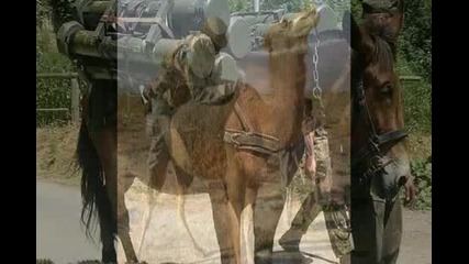 Funny Army. Omg Fail !