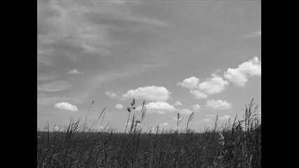 The Cranberries - Dreaming My Dreams 