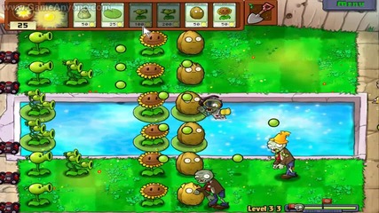 Plants vs Zombies level 3-3