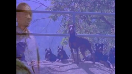 Snoop Doggy Dogg - Who Am I ( What s My Name ) whit Lyrics 