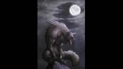 Bate Pesho feat. Tina - Wolf