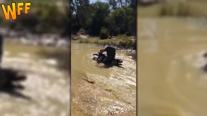 Компилация Смях