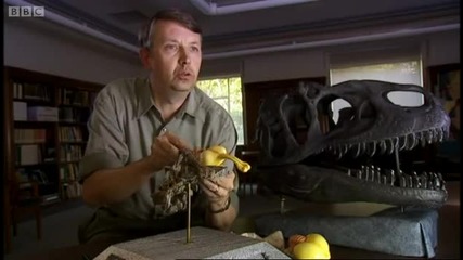 How dinosaurs ate - Walking with Dinosaurs Ballad of Big Al - Bbc