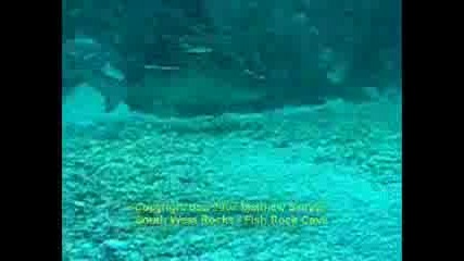 Подводни Кадри