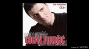 Goran Vukosic - Zavodljiva - (Audio 2008)